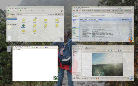 beryl expose desktop